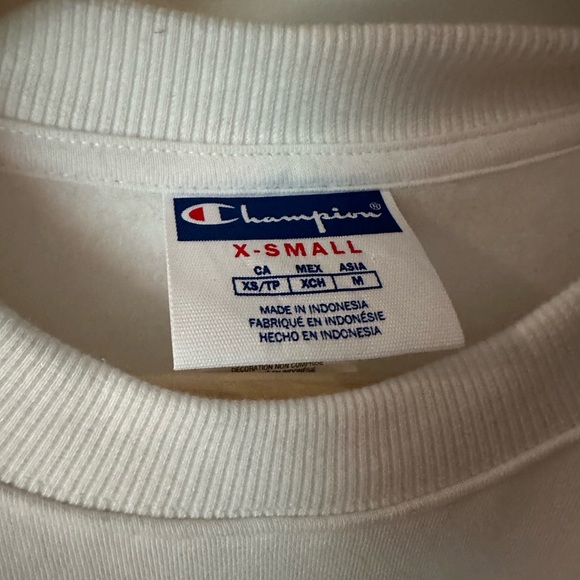 Champion Sweatshirt / Crewneck - Picture 2 of 3